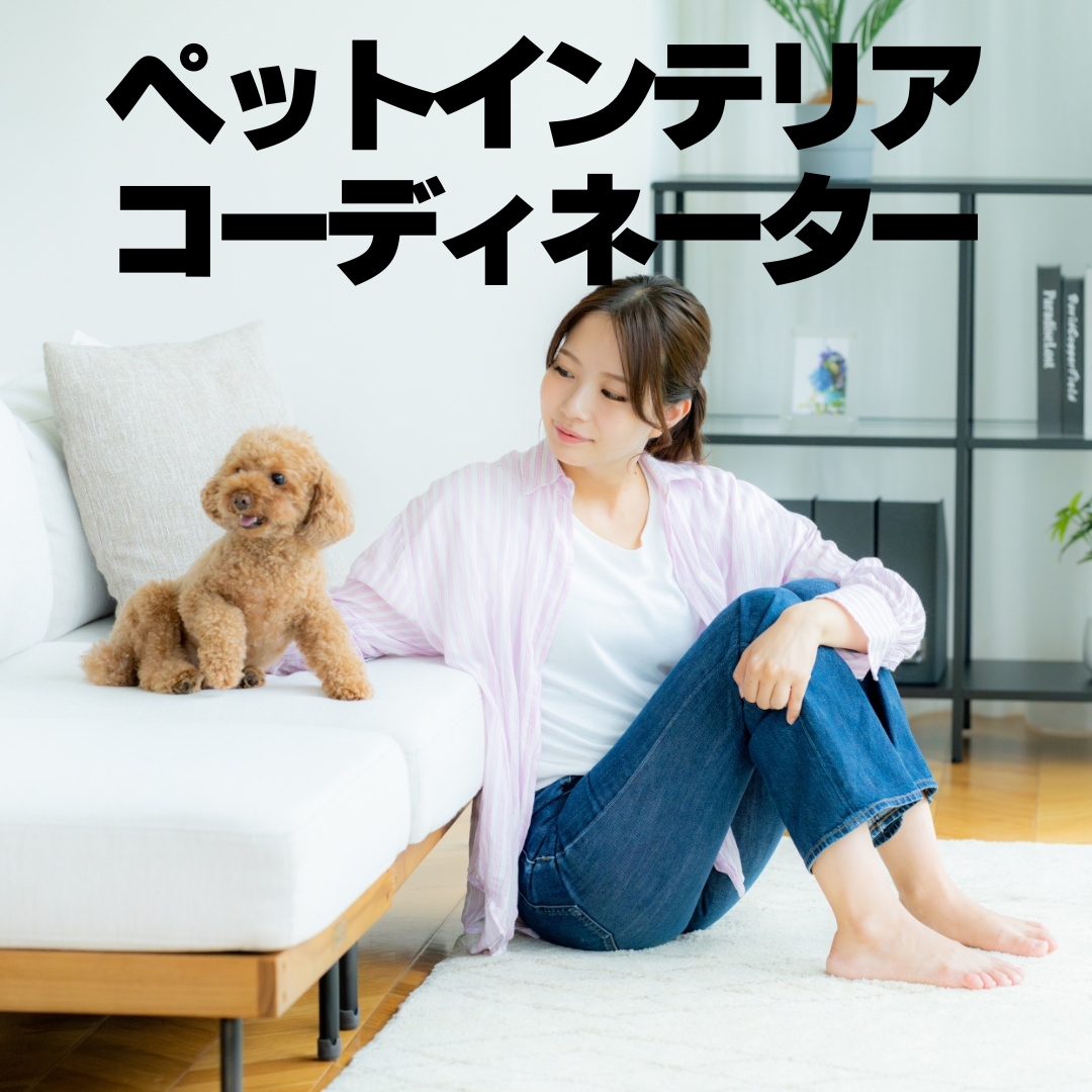 ペットインテリアコーディネーター養成講座の商品画像